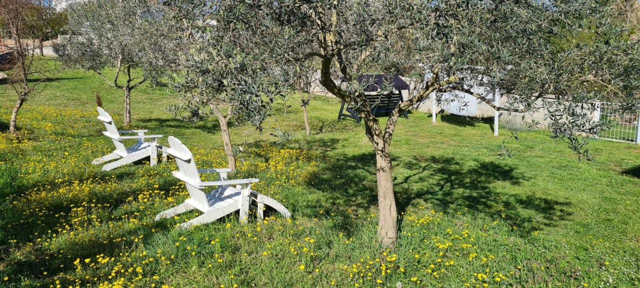 La Pergola Otel Fažana Dış mekan fotoğraf